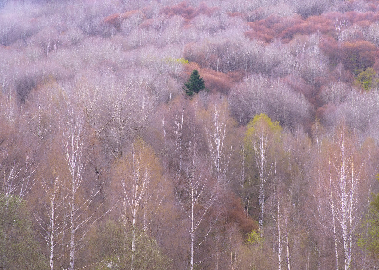 Community, Mount Baba, 2023