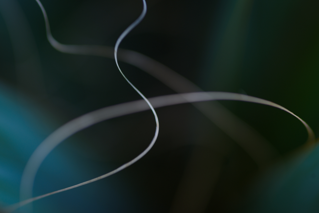 Flow Study 01, Hungary, 2023