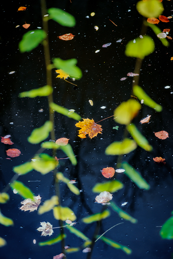 Supernova, Ingolstadt, 2022