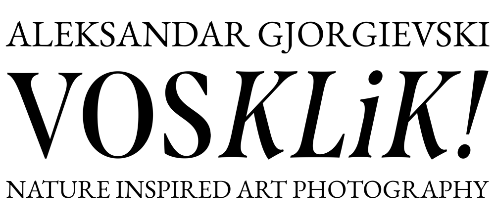 Aleksandar Vosklik Gjorgievski - Nature Inspired Art Photography - Logo